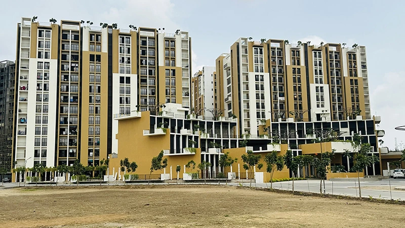 Nagjua The Park